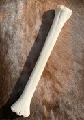 giraffe bone no. 5017 length 65 cm, weigth 1,8 kg