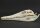 Crocodile skull from Nile crocodile - length 28 cm Nr. 2139