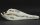 Crocodile skull from Nile crocodile - length 29 cm Nr. 2146